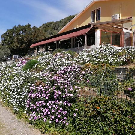 Hotel Il Lentischio Cala Sapone Zewnętrze zdjęcie